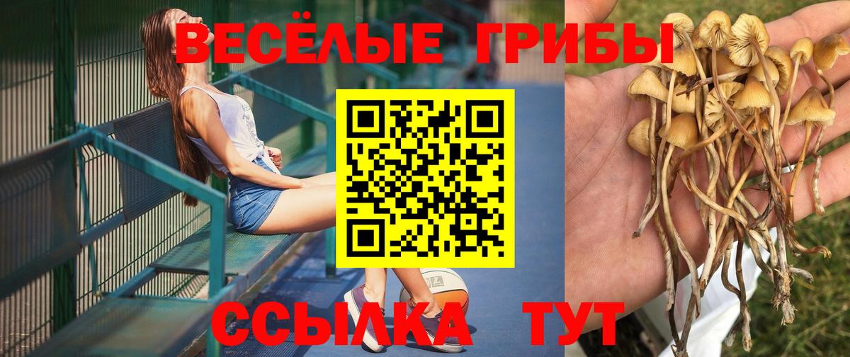 Псилоцибиновые грибы мицелий Новый Уренгой