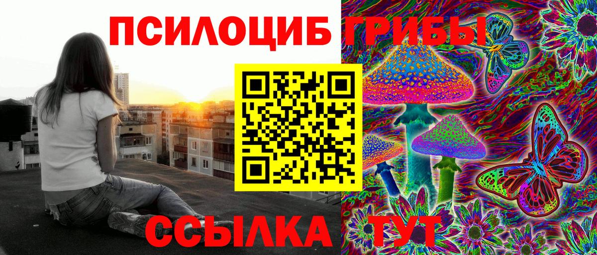 Псилоцибиновые грибы Cubensis  Вход с VPN  Новый Уренгой 